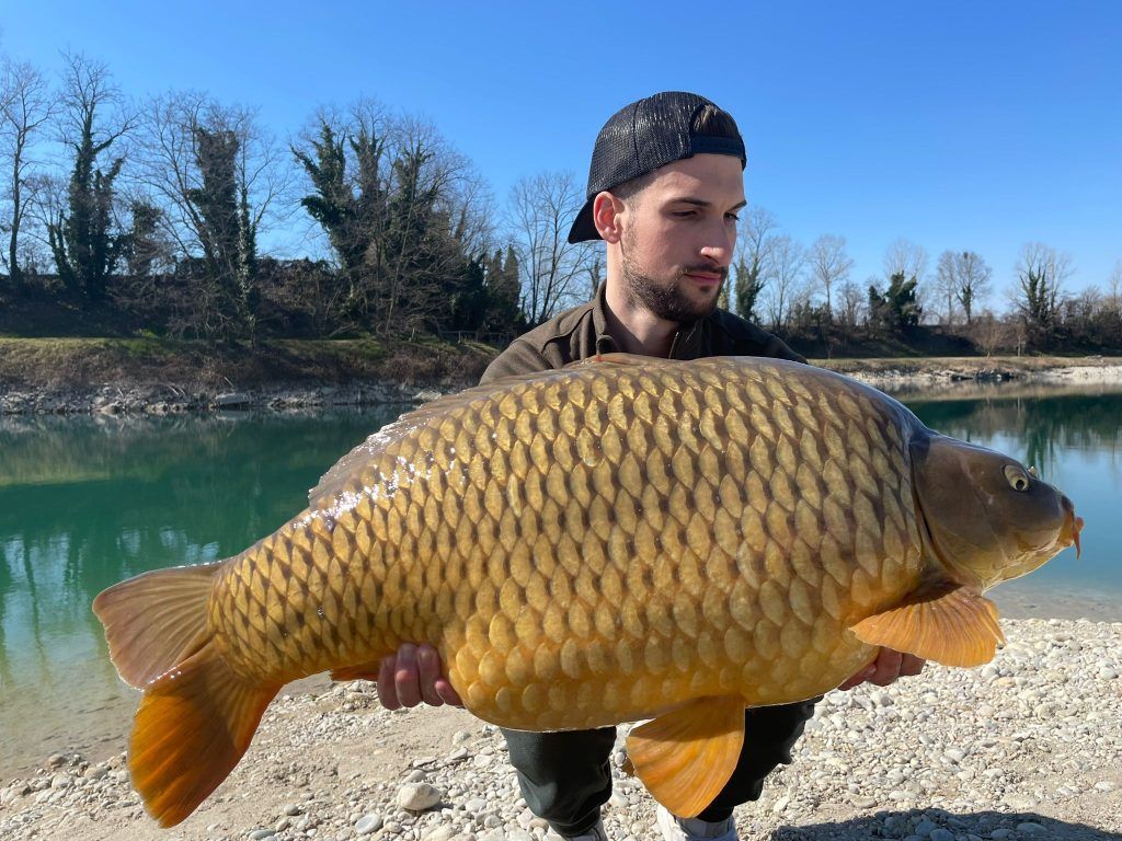 Bait's Selection - Top Carpfishing Selfmade Boiles Bait's Selection - Top Carpfishing Selfmade Boiles