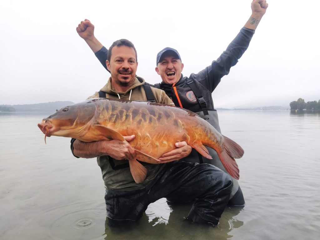 Bait's Selection - Top Carpfishing Selfmade Boiles Bait's Selection - Top Carpfishing Selfmade Boiles