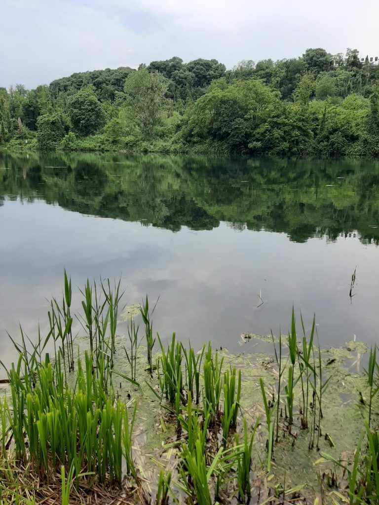 baitsselectionimg5 Foto Bait's Selection - Top Carpfishing Selfmade Boiles