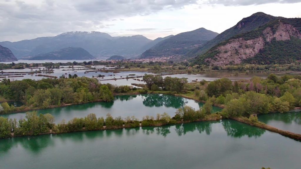 baitsselectionimg6 Foto Bait's Selection - Top Carpfishing Selfmade Boiles