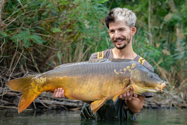 carpa a specchi di Campogalliano